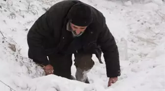 Uçuruma sürüklenen TIR'ın sürücüsü yola dönmekte zorlanınca gazeteciler yardım etti