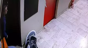 Evinin kapısını açınca hırsızla göz göze gelen adamın şaşkınlığı kamerada