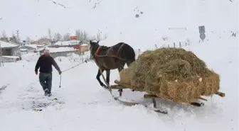 Bingöl'de besicilerin zorlu kış şartlarıyla mücadelesi