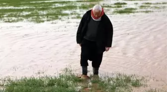 Gaziantep'te sağanak yağış sonrası tarlalar su altında kaldı