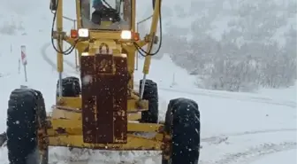 Mardin'de kardan kapanan mahalle yolları açıldı