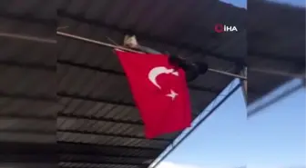 Üniversite öğrencisi ipi kopan Türk bayrağını canı pahasına düzeltti
