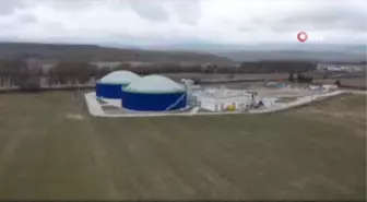 Son Dakika | 7 milyon Euro yatırımla biyogaz tesisi kuruldu: Hayvan gübresinden elektrik üretiliyor