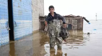 Hatay'da sağanağın ardından bazı tarla ve evler hala sular altında