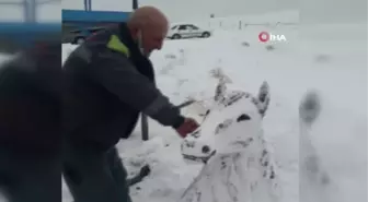 Sanatçılara taş çıkardı, kardan at büstü yaptı