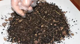 Aldığı çay paketlerinden hayvan gübresi çıktı