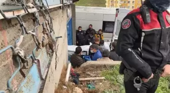 Avcılar'da koca dehşeti! Eşini ve eniştesini öldüren adam sırra kadem bastı