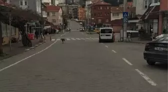 Bartın açıklarında 3.2 büyüklüğünde deprem
