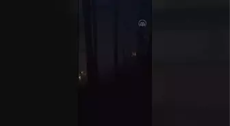Kastamonu'da çıkan orman yangını kontrol altına alındı