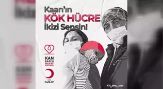 Lösemili 2 yaşındaki Kaan, ilik nakli bekliyor