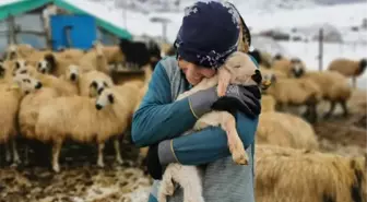 Tunceli'de kışı zor şartlarda geçiren besicilerin kuzu sevinci