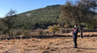 Ailesiyle yazlığına gelen tıp öğrencisi kayboldu, ekipler arama başlattı (2)