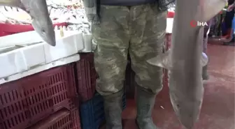 Elazığ'da balıkçının 'Norveç'ten' getirttiği köpek balığı dikkat çekti