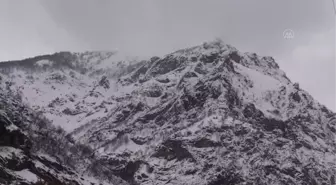 Karadeniz'i Güneydoğu'ya bağlayan kara yolunun çığ tünelleri sürücülere 'can simidi' oluyor