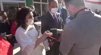 44 yaşında evlenen muhtar, nikah şekeri yerine zeytin ağacı dağıttı