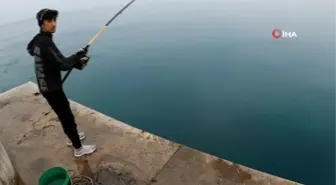 Antalya'da lise öğrencisinin oltasına boyu kadar balık takıldı