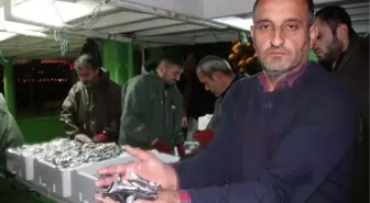 Karadeniz'de boyları denetlenen hamsiler, tezgahlara yollandı