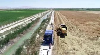 Konya Havzası'nda yer altı suyu için tehlike çanları; 45 metre geriledi