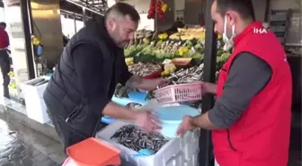 Yasak kalktı, hamsi tezgahtaki yerini aldı