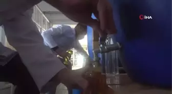 Hem okudular hem de para kazandılar