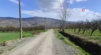 Başından vurulmuş halde bulunan cesede ilişkin yeni detaylar ortaya çıktı