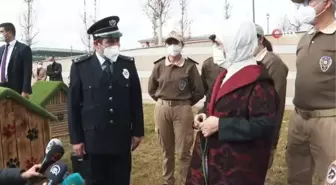 Son dakika haberi | Külliye'deki atıklar geri dönüştürülerek sokak hayvanlarına 'yuva' oldu