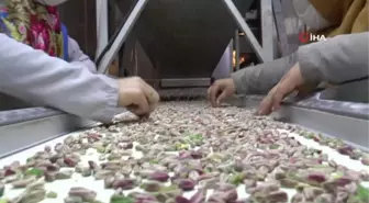 Gastronomi kentinden fıstık gibi müjde