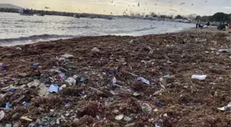 Kadıköy Suadiye Sahili'nde çöpler kıyıya vurdu