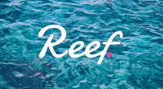 Reef (REEF) Coin nedir, nasıl alınır? Reef (REEF) yorum ve grafiği!