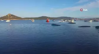 Hortum çatıları uçurdu, asırlık ağaçları kırdı...Başkan olay yerini inceledi