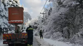 Sert kış şartlarına karşı önlem alındı