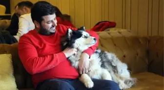 Donmuş gölün buzu kırılınca suya düşen köpeği kurtarmak için seferber oldular