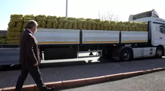 Melikgazi'den ihtiyaç sahiplerine patates dağıtımı