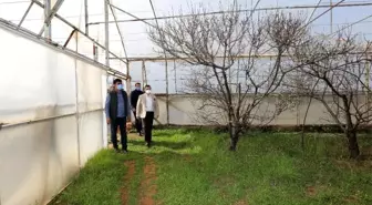 Tütüncü: 'Üreticilerimiz yeniliklerle Kepez'e değer katıyor'