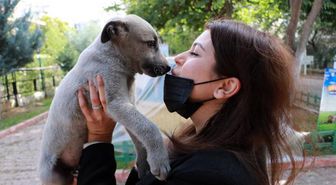 Veteriner Hekim Köse 'Kedi, köpek tüyü ciğerde kist yapar' düşüncesi tamamen yanlış