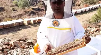 2021 yılı arı fiyatları belirlendi