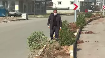 Ağlayarak anlattı... Dolandırıcıların tuzağına düştü parayı 180 km uzaklıktaki dolandırıcıların ayağına kadar götürdü
