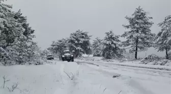 KASTAMONU - Avcılar yaban hayvanları için doğaya yiyecek bıraktı