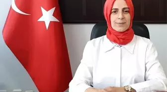 Sokak hayvanları için yeni yaşam alanı önerisi