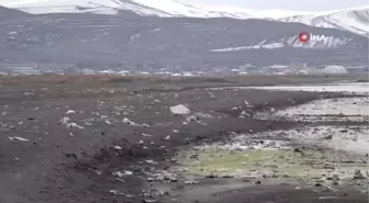 Van Gölü sahilinde tonlarca çöp toplandı