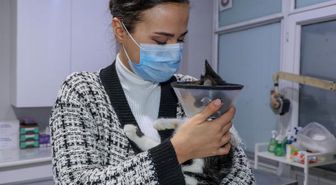 2 gözü de ampute edilen yavru kediye sahip çıktı
