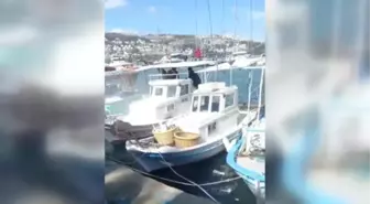 Bodrum'da balıkçı teknesinde çıkan yangın hasara yol açtı