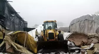 Çekmeköy'de ahırın çatısı çöktü: Çok sayıda hayvan mahsur kaldı