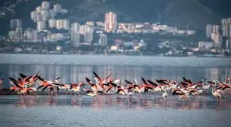 Türkiye'nin ilk Yeşil Şehir Eylem Planı İzmir için hazırlandı