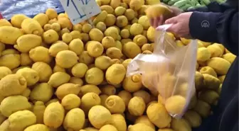 Türkiye'den ocak ayında 31,4 milyon dolarlık limon ihraç edildi