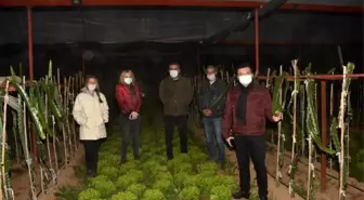 Kaymakam zirai don nöbeti tutan çiftçileri yalnız bırakmadı