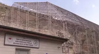 ŞANLIURFA - 'Bereketin sembolü' kelaynakların sayısının arttırılması için yaşam alanları genişletildi