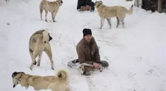 Yollarını kapatan kar yağışını eğlenceye dönüştürdüler