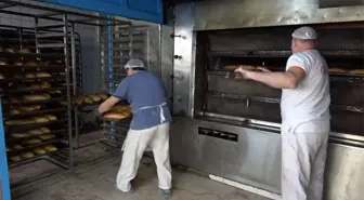 Hafta sonu sokaklar sokak hayvanlarına kaldı