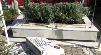 Son dakika: 15 Temmuz şehidi ikiz polislerin mezarlarına alçak saldırı